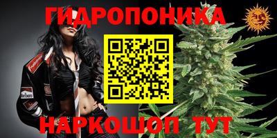 бошки Владивосток