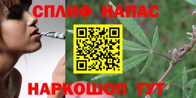 spice Владикавказ