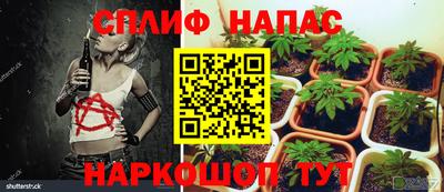 MDMA Владимир