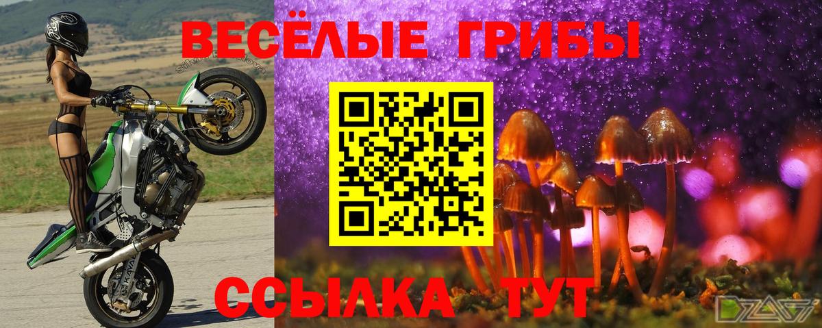 Псилоцибиновые грибы мухоморы Прохладный